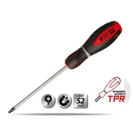 Atsuktuvas Torx T25x100mm,plienasS2,3medžiagu laikiklis, 17W035