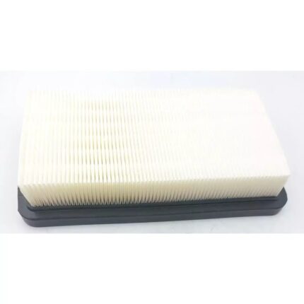 HEPA filtras, skirtas DED7075, DED7174, DED70751